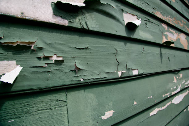 Best Same-Day Junk Removal Services  in Abita Springs, LA